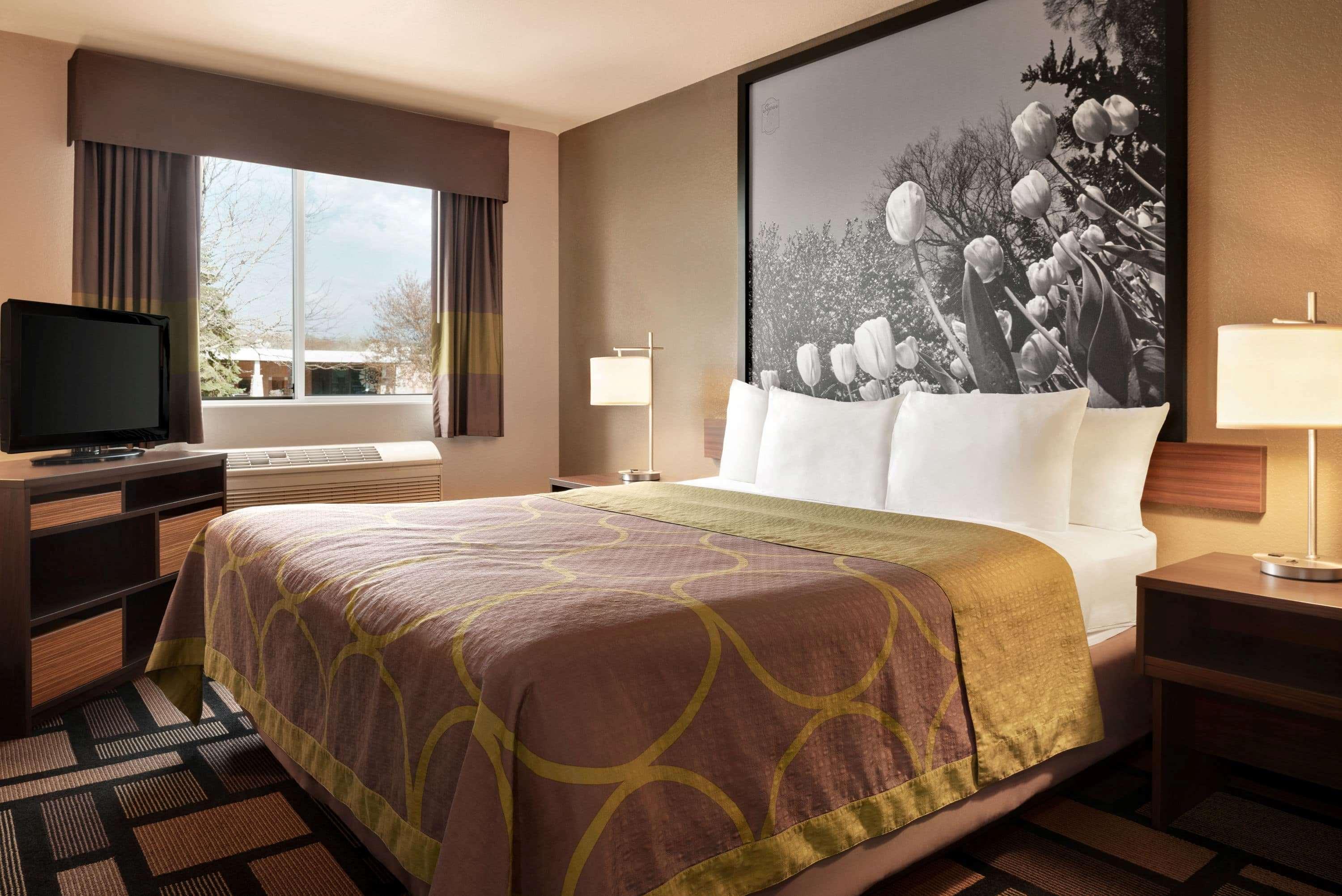 Super 8 By Wyndham Akron S/Green/Uniontown Oh Екстериор снимка